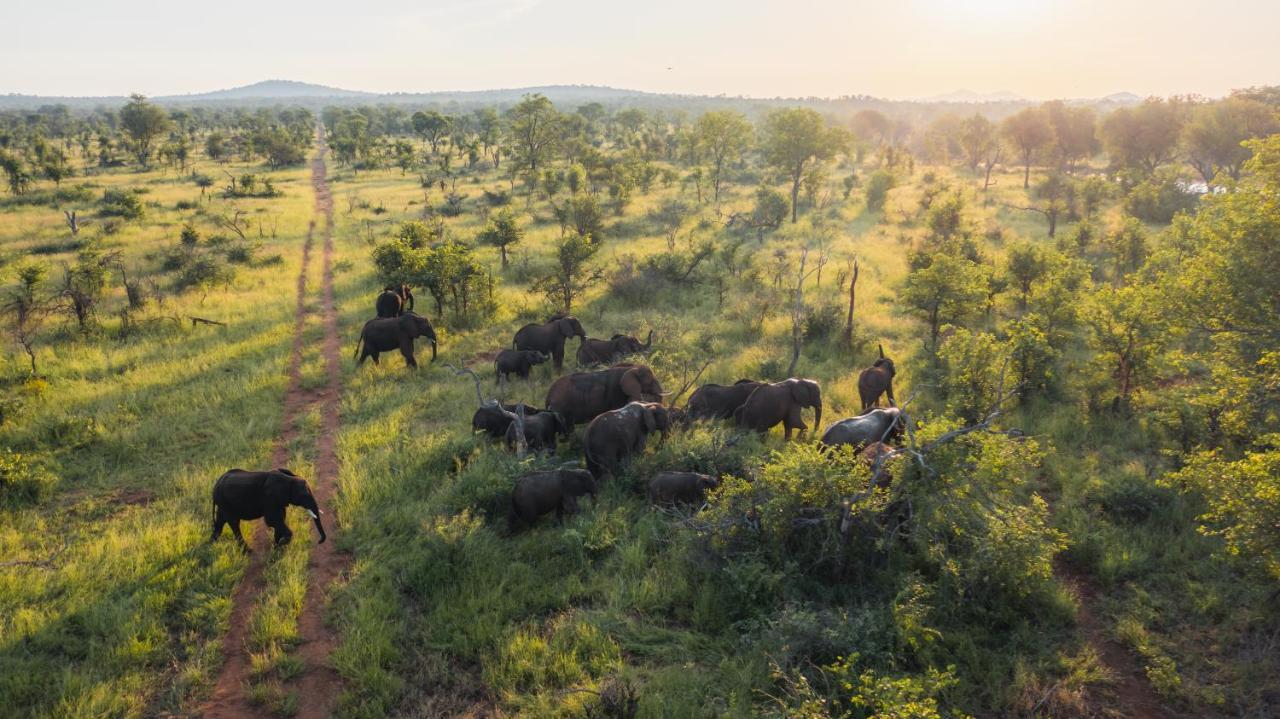 Milima Big 5 Safari Lodge Hoedspruit Exterior photo